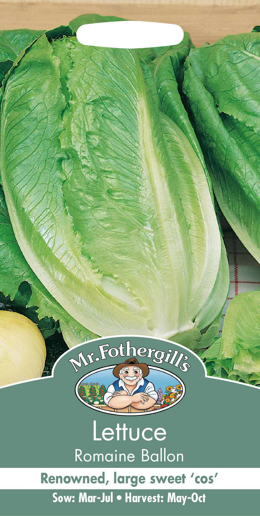 Romansallat 'Romaine Ballon'
