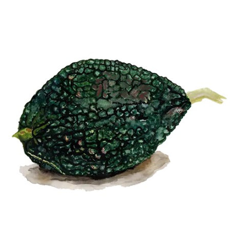 Vintersquash 'Green Hubbard Chicago Warted' Svenskodlat frö