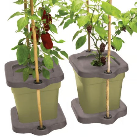 Odlingskruka 'Cane Grip' 2-pack