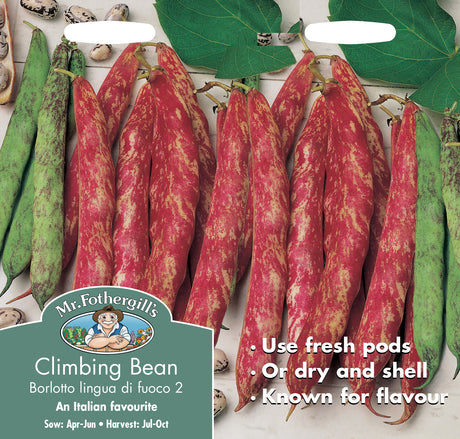 Klätterböna 'Borlotto lingua'