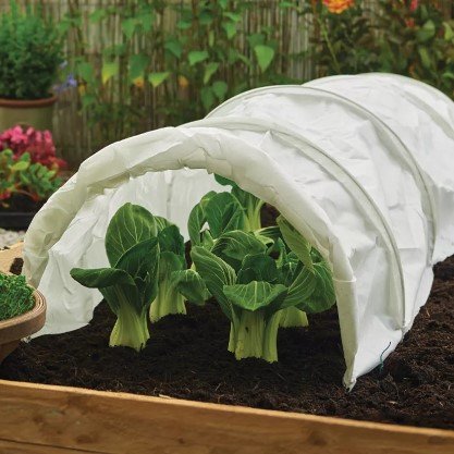 Odlingstunnel Fleece 3m