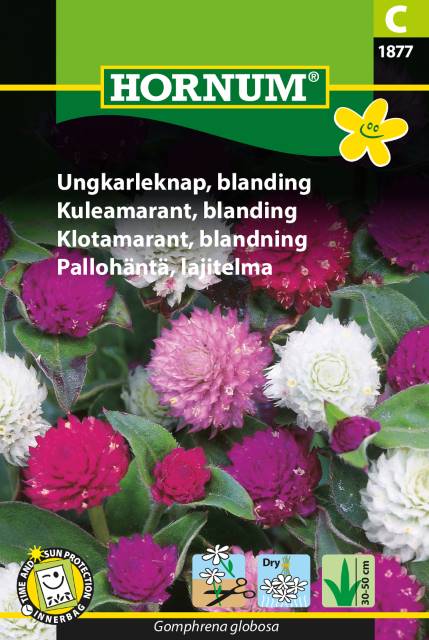 Klotamarant Mix frö