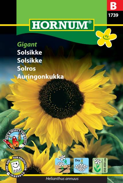 Solros 'Gigant' frö