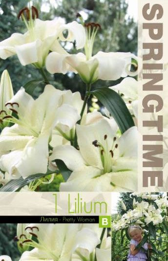 Lilja, Hög 'Pretty Woman' 1st