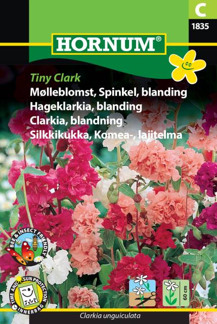 Clarkia Mix 'Tiny Clark' frö