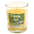Doftljus i Glas 'Citronella' 5x6cm