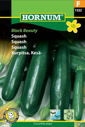 Squash 'Black beauty' frö