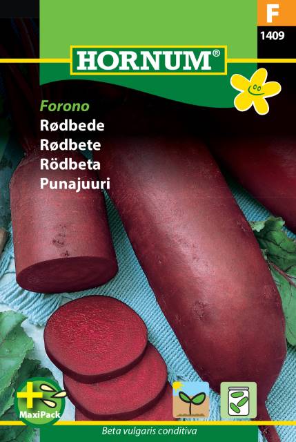 Rödbeta 'Forono' - Maxipack