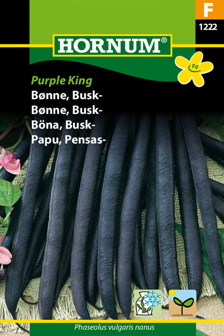 Buskböna 'Purple King' frö