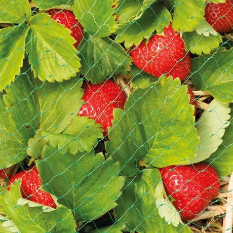 PRIMA Bärnät Grön 4x10m