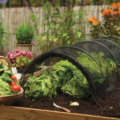 Odlingstunnel Nät 3m
