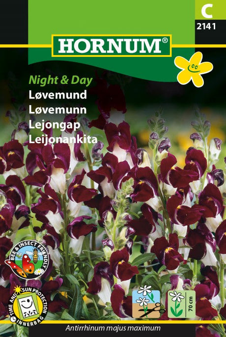 Lejongap 'Night & Day'