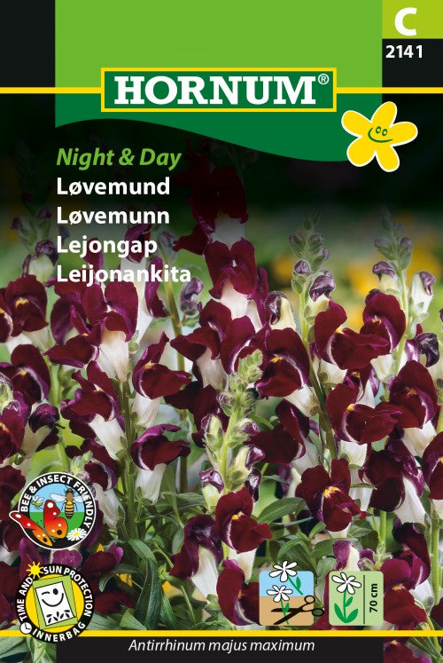 Lejongap 'Night & Day'