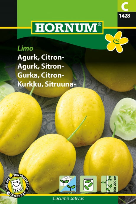 Äppelgurka 'Lemon'