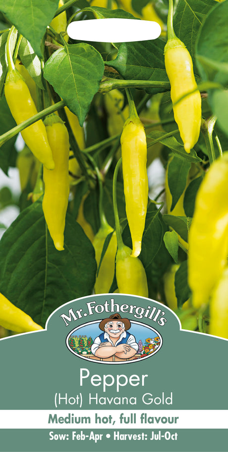 Chilipeppar 'Havana Gold'