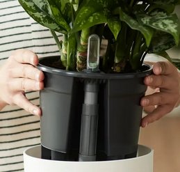 Självbevattning Insatskruka 21cm