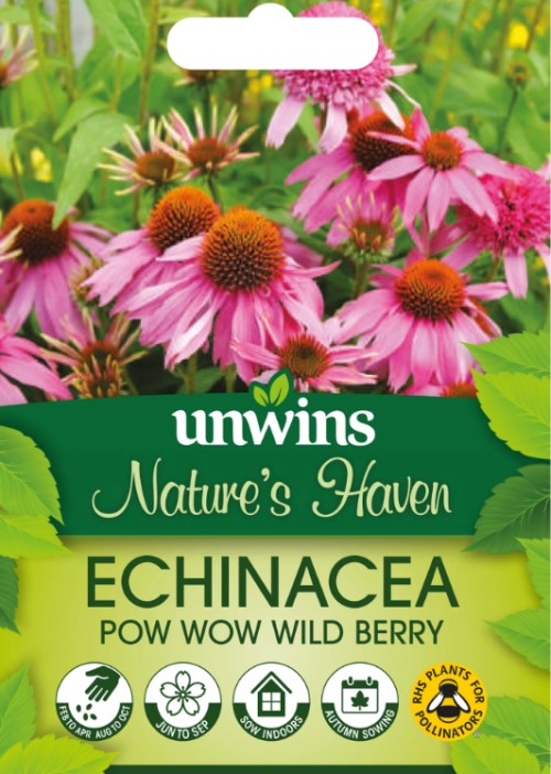 Solhatt 'Pow Wow Wild Berry'