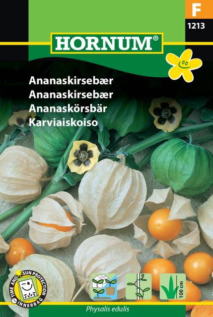 Physalis frö