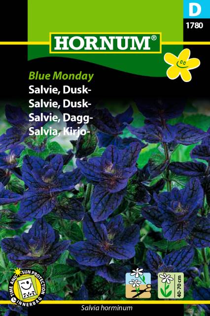 Broksalvia 'Blue Monday' frö