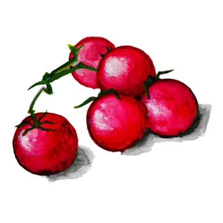 Körsbärstomat 'Chilega' Svenskodlat frö