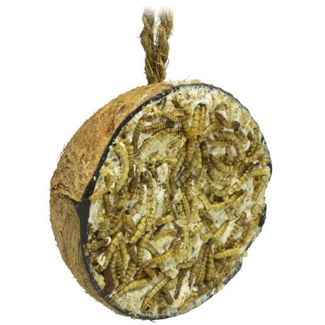 Halv Kokosnöt med Mjölmask inkl Upphängning