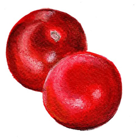 Tomat 'Black Ethiopian' Svenskodlat frö