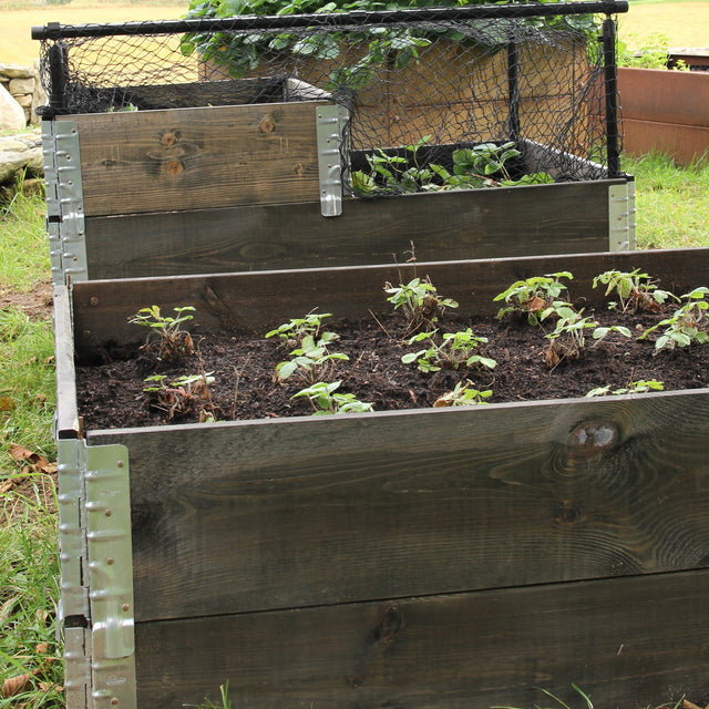 Odlingslåda Svart 60x80 cm