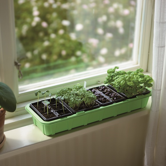 Miniväxthus 'Window' med 24st celler