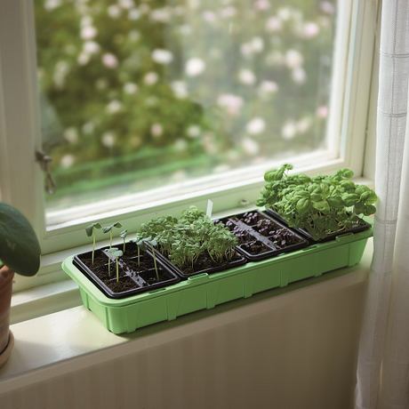 Miniväxthus 'Window' med 24st celler