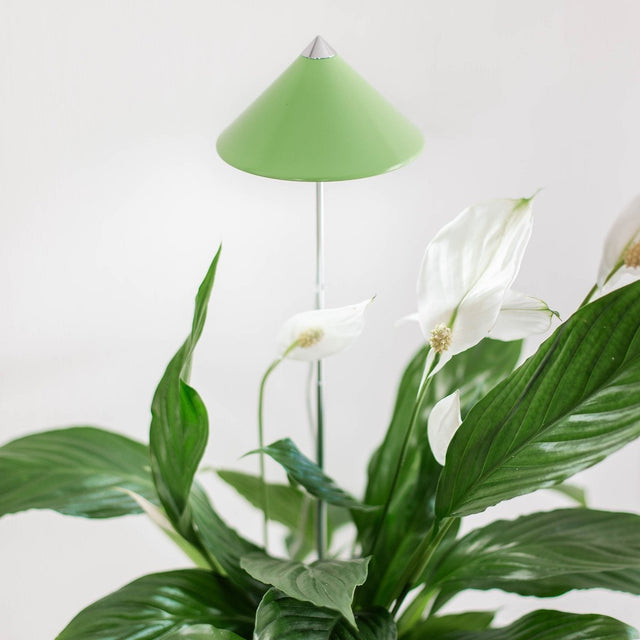 Sunlite växtlampa Limegrön - 7W