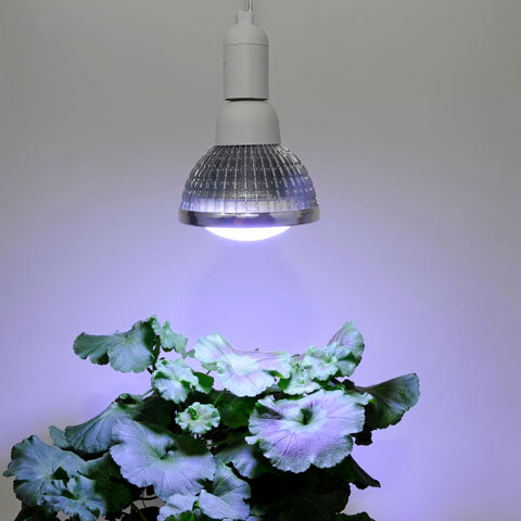 Växtlampa Vinter 18W 140°