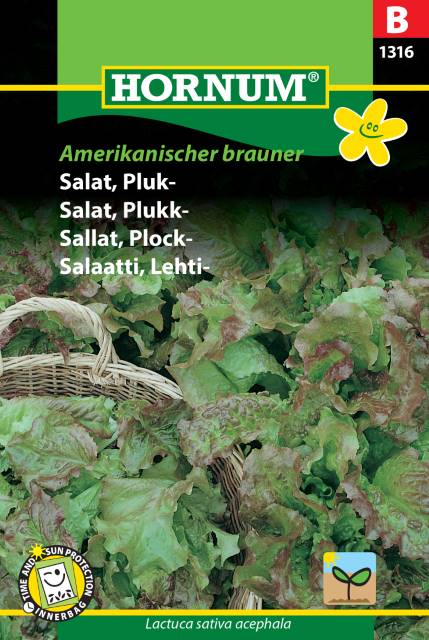 Plocksallat 'Amerikanischer brauner' frö