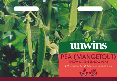 Sockerärt 'Snow Green'