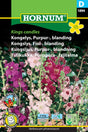 Kungsljus Mix 'Purpur' frö
