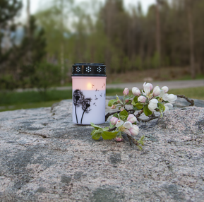 Gravljus Dandelion LED H12cm