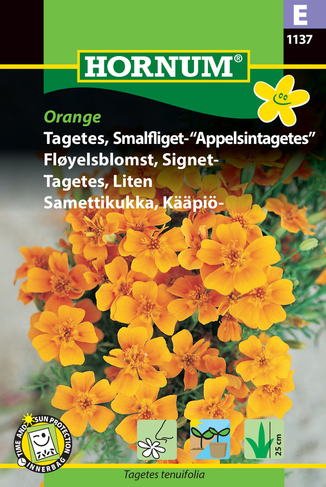 Tagetes, Liten 'Apelsintagetes' frö