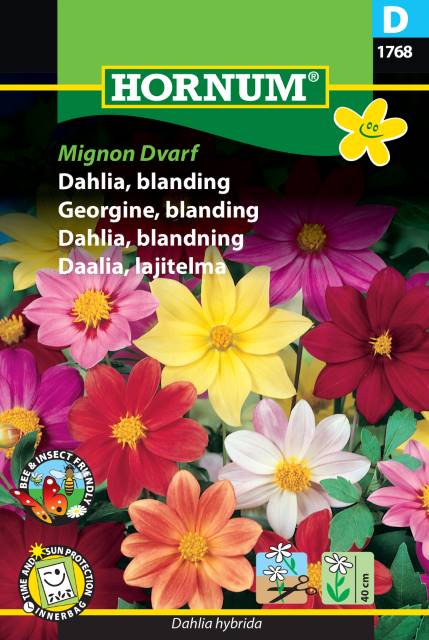 Sommardahlia Mix 'Mignon Dwarf' frö