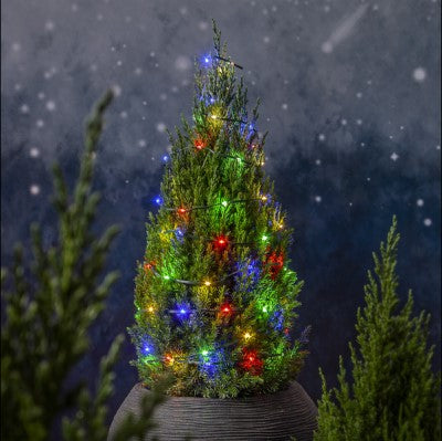 Ljusslinga LED 'Dew Drop Micro Multi' 15m