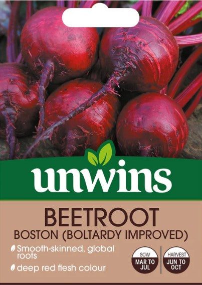 Rödbeta 'Boston'
