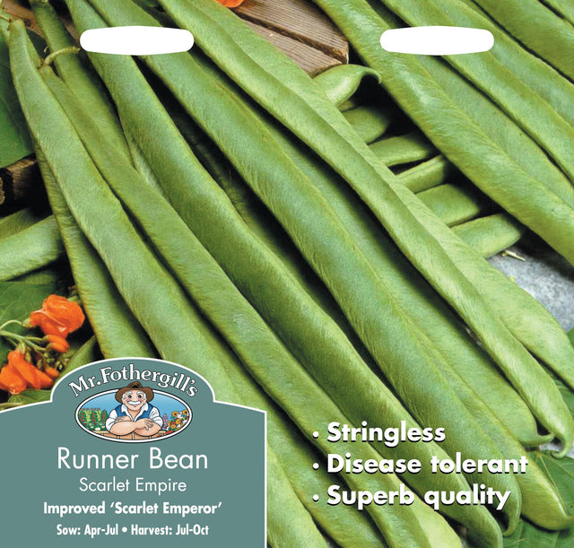 Störböna ''Scarlet Empire'