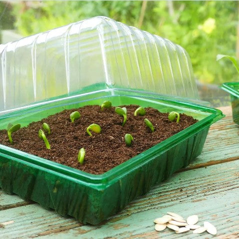 Lock till 'Half Seed Tray' 1st