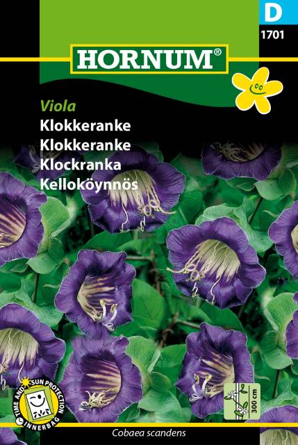 Klockranka 'Viola' frö
