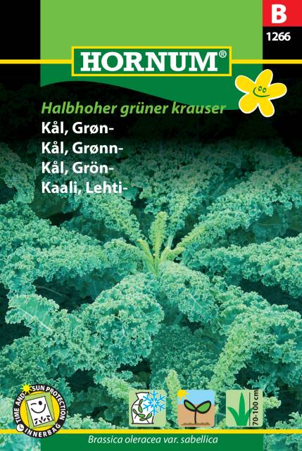 Grönkål 'Halbhoher grüner krauser' frö