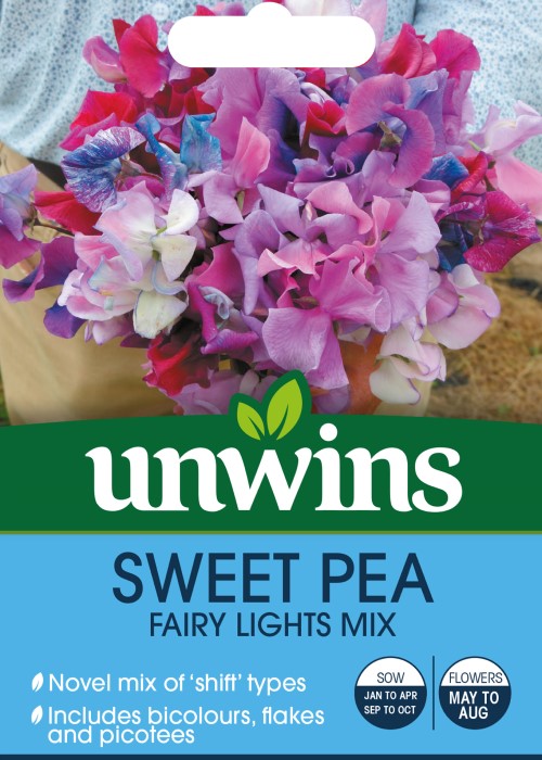 Luktärt 'Fairy Lights'