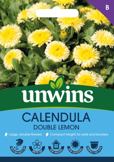 Ringblomma 'Double Lemon'