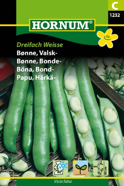 Bondböna 'Dreifach Weisse' frö