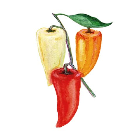 Paprika 'Ferenc Tender' Svenskodlat frö