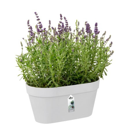 Loft Urban Green Wall DUO 28cm White