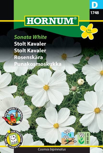 Rosenskära 'Sonata White' frö