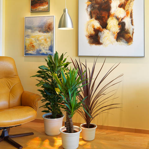 Växtlampa Standard 18W 60°